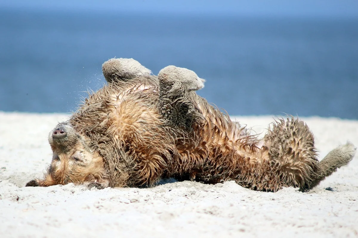 Praktische Tipps für den Tschechien-Urlaub